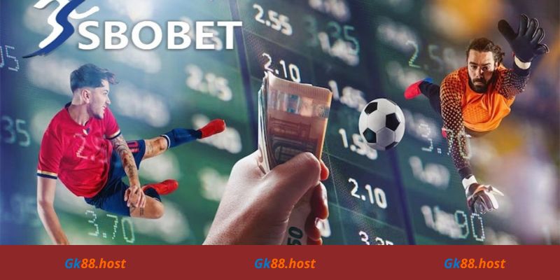 Tổng quan về Sbobet Gk88